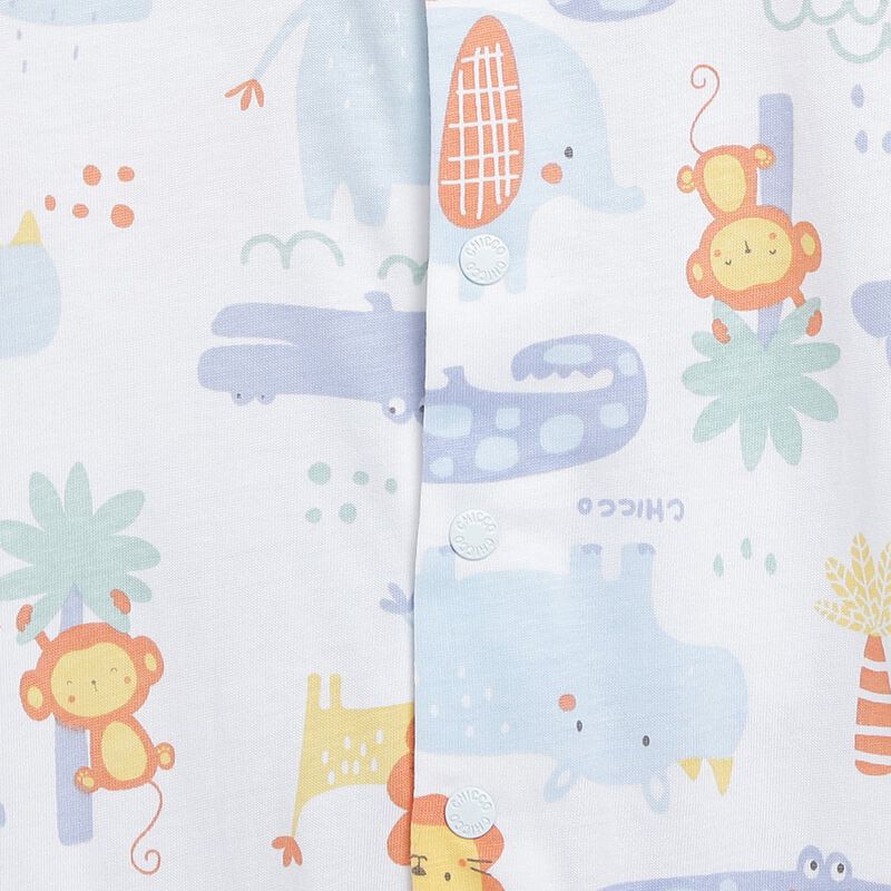 Boys Light Blue Printed Front Opening Babysuit image number null